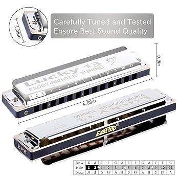 Amazon.com: East top Lucky 13 Bass Plus Blues Harmonica 13